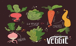 7 vegetable design vector 7 vegetable design vector